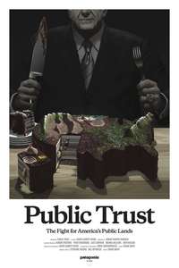 Public Trust - Poster