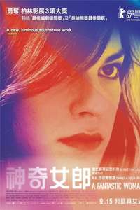 A Fantastic Woman - Poster