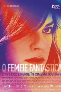 A Fantastic Woman - Poster