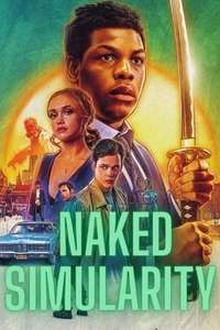 Naked Singularity - Poster