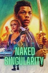 Naked Singularity - Poster