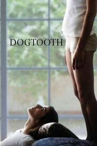 Dogtooth - Poster