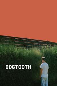 Dogtooth - Poster