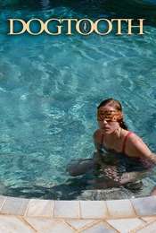 Dogtooth