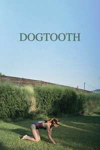 Dogtooth - Poster