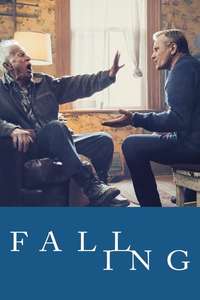 Falling - Poster