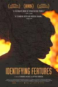 Identifying Features - Poster