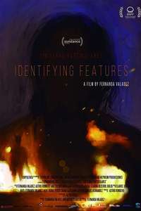 Identifying Features - Poster