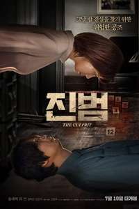 The Culprit - Poster