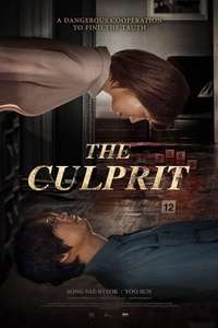 The Culprit - Poster