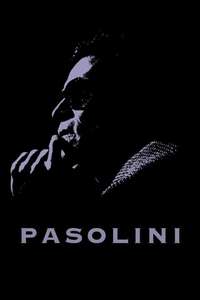 Pasolini - Posters