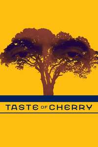 Taste of Cherry - Poster