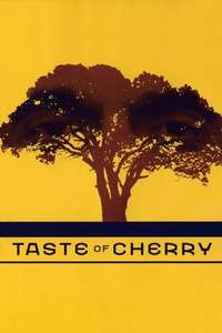 Taste of Cherry - Poster