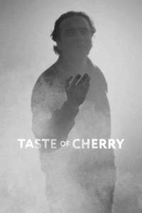 Taste of Cherry - Poster