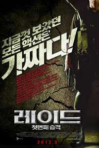 The Raid - Poster