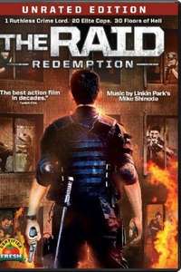 The Raid - Poster