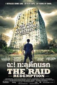 The Raid - Poster
