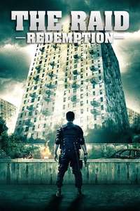The Raid - Poster