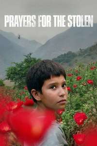 Prayers for the Stolen - Poster