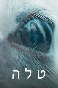 Lamb - Poster