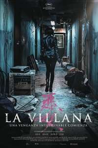 The Villainess - Posters