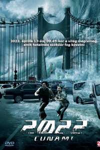 2022 Tsunami - Posters