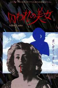 The Beautiful Prisoner - Posters