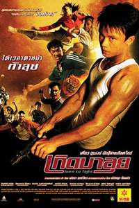 Born to Fight - Poster
