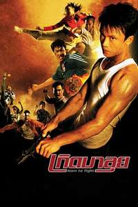 Born to Fight - Poster