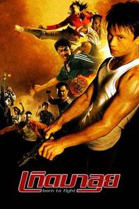 Born to Fight - Poster
