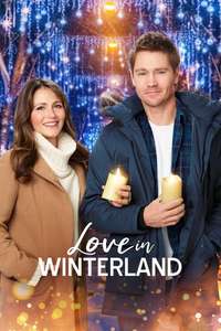 Love in Winterland - Poster