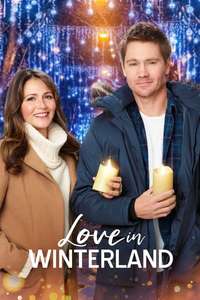 Love in Winterland - Poster