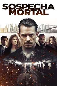 The Informer - Poster