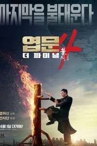 Ip Man 4: The Finale - Poster