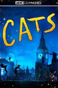 Cats - Posters