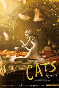 Cats - Posters