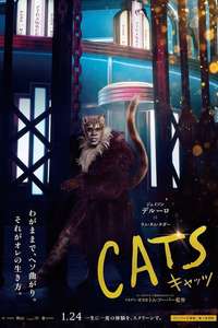 Cats - Posters