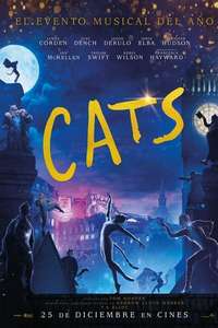 Cats - Posters