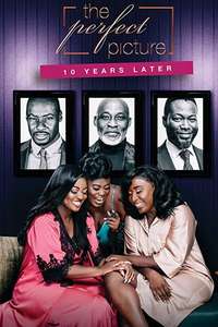 The Perfect Picture: Ten Years Later - Poster