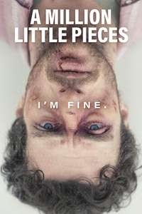 A Million Little Pieces - Poster