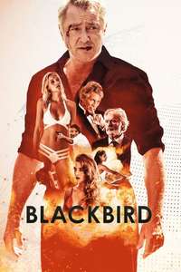 Blackbird - Poster
