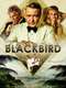 Blackbird