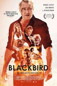 Blackbird - Poster