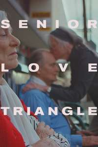 Senior Love Triangle - Posters