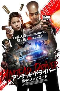 The Driver - Poster