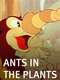 Ants in the Plants