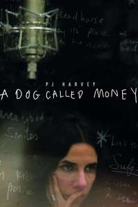 A Dog Called Money - Poster