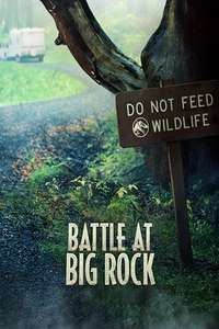Battle at Big Rock - Poster