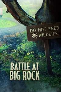 Battle at Big Rock - Poster