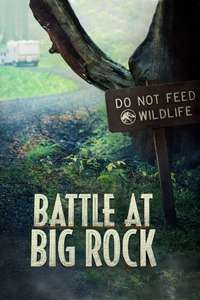 Battle at Big Rock - Poster